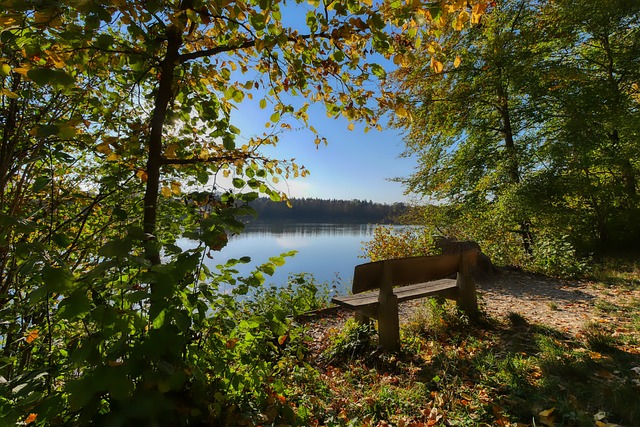 则在心理层 则在心理层